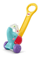 Juguete Para Bebes Fisher-price Elefante Camina Conmigo Y8651 Mattel