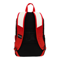 Mochila Caballeros del Zodiaco Pegaso Yadatex