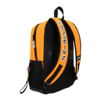 Mochila Grande Goku Dragon Ball Yadatex Porta Laptop DBZ041-BP156B