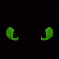 Lonchera Termica Escolar Como entrenar A Tu Dragon HD914A20LB