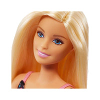 Barbie Día De Compras Con Muñeca FRP01