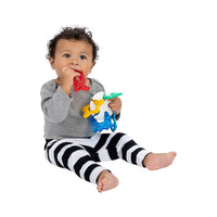 Mordedera Sea of Sensory Baby Einstein