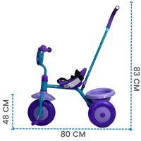 CYC Frozen Triciclo Con Canasta Y Cinturón Juguete de Importación 18474