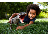 Dinosaurio De Juguete Jurassic World Tyrannosaurus Rex Mattel HDY55
