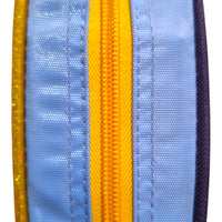 FM Lapicera Bluey BL611A02PB
