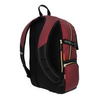 Mochila Grande Hogwarts Legacy Gryffindor HLG008-BP335A Harry Potter
