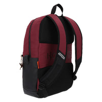 Mochila Hogwarts Legacy Gryffindor Harry Potter

