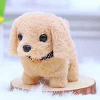 CYC Mascotas Y Accesorios Animales Juguete de Importacion SH23190889