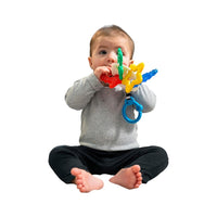 Mordedera Sea of Sensory Baby Einstein
