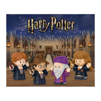 Little People Collector Harry Potter Piedra Filosofal HVG45 Mattel
