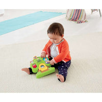 Juguete Para Bebé Fisher-price Arbol Actividades De Animales CMV94 Mattel
