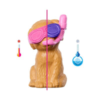 Barbie Muñeca Fiesta de Piscina con Perritos JBF35
